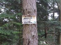 Sortie Phalsbourg CV Wingen 28 02 2016 (48)